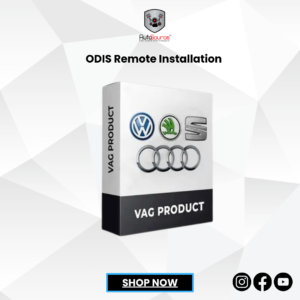 Offboard Diagnostic Information System for Audi