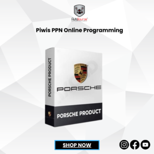 Piwis PPN Online Programming
