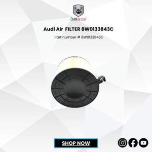 Audi Air  FILTER 8W0133843C